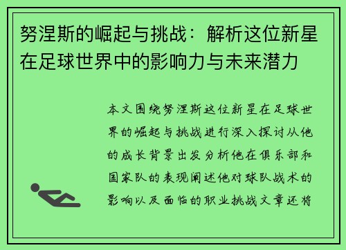 努涅斯的崛起与挑战：解析这位新星在足球世界中的影响力与未来潜力