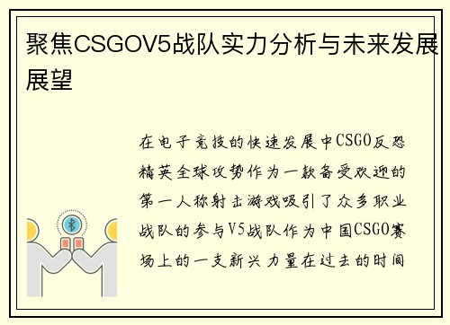 聚焦CSGOV5战队实力分析与未来发展展望
